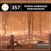 Ordem ambiental internacional