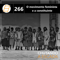 O movimento feminista e a constituinte