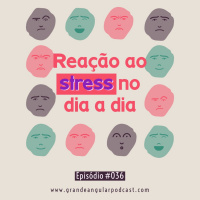#036 - Reação ao stress no dia a dia(SOLO) 