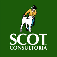 Scot Corte