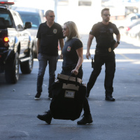 A operação Lava-jato deve continuar?