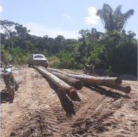 Devemos tratar de questões fundiárias em meio à pandemia?