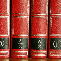 Palavras também mudam de gênero