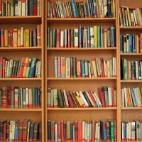 É importante estar sempre alerta ao politicamente correto