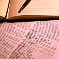 Em Português, tudo tem gênero