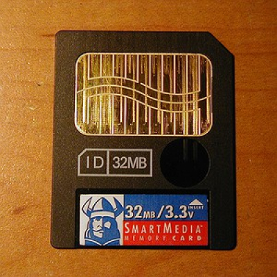 Viva A Língua Brasileira - Sérgio Rodrigues