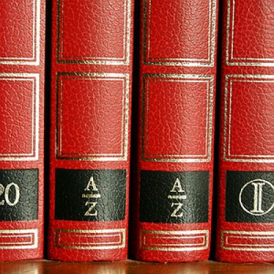 Viva A Língua Brasileira - Sérgio Rodrigues