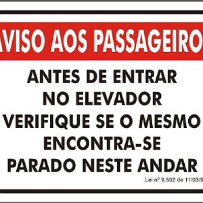 Viva A Língua Brasileira - Sérgio Rodrigues