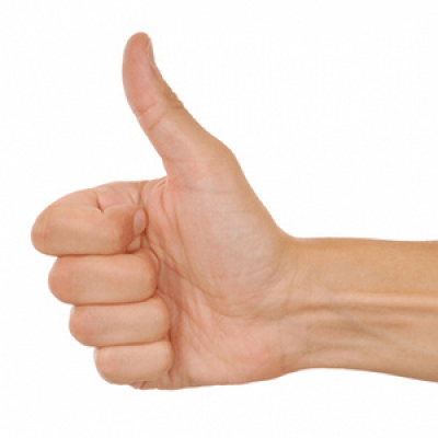 Viva A Língua Brasileira - Sérgio Rodrigues