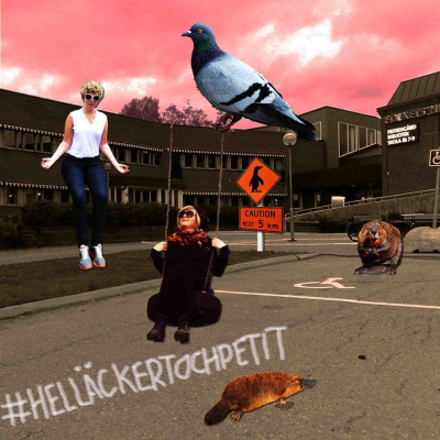 Helläckert Och Petit