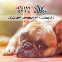 07 - Animais de Estimação