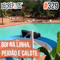 Decrépitos 329 - VACILO NEWS: Boi na Linha, Peidão e Calote