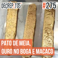 Decrépitos 275 - VACILO NEWS: Pato de meia, Ouro no boga e Rinha de macacos