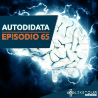 Like Tour Cast 065 – Autodidata