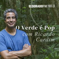 O Verde é Pop: Como Super El Nino impacta cidades que negligenciam mudanças climáticas?