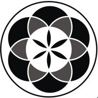 Buracos Negros – Observador Quântico #52