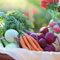 #43: Wenn gesunde Ernährung zum Zwang wird mit Dr. Friederike Barthels