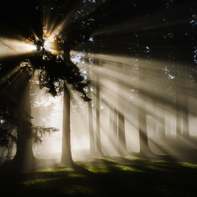 Soulfood Journey - Lerne Deine Essstörung Verstehen  Lieben