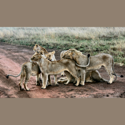 Soulfood Journey - Lerne Deine Essstörung Verstehen  Lieben