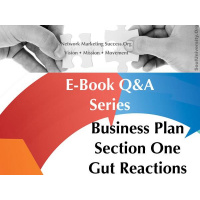 Network Marketing Success.Org Business Plan Section One - Vetting Process