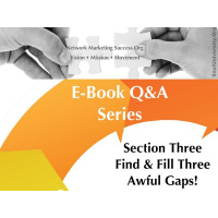 Network Marketing Success.Org E-Book Section Three - Three Awful Gaps Revealed