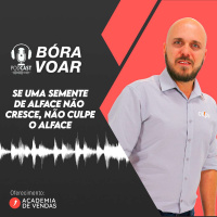 Se uma semente de alface não cresce, não culpe o alface