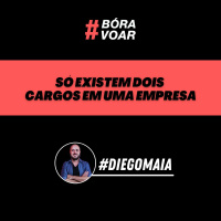 Só existem dois cargos em uma empresa