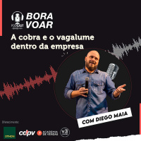 A cobra e o vagalume dentro da empresa | Diego Maia, palestrante de vendas