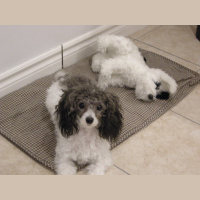 Casting Couch Comedy Podcast With Comedian Sk Humor