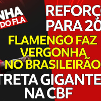 FLAMENGO FAZ VERGONHA | REFORÇOS PARA 2024 | TRETA NA CBF | BOTAFOGO CHORANDO