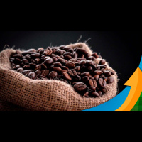 Café: Mercado segue sem direção e ritmo dos negócios, apesar de leve melhora, ainda é mais lento que nos últimos anos