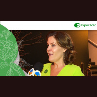 Safra 23 foi marcada por uma colheita desafiadora, mas que pode surpreender com os lotes de qualidade