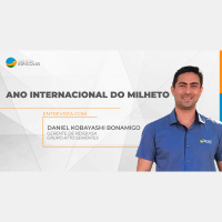 A utilização de híbridos graníferos de milheto gera nova alternativa de renda e agrega valor ao sistema de produção na fazenda