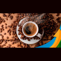 Café: Momento de estresse com baixa oferta pode proporcionar boas oportunidades ao produtor brasileiro Rabobabnk estima queda nos preços no 2º semest