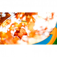 Outono sem La Niña deve reforçar características da estação com redução das chuvas e queda gradual das temperaturas