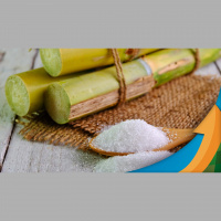 Açúcar beliscou os 20 cents/lb em NY, mas patamar de 19-18 cents/lb deve ser consolidado no 1º tri do ano, diz analista