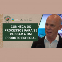 Entenda o que é um café de qualidade e conheça os processos para se chegar a um produto especial