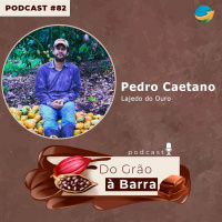Herdeiro do cacau: Depois de crescer no quotmundo mágicoquot das lavouras, Neto resgata história e conquista prêmios com a fazenda da família