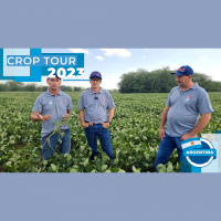 Crop Tour Argentina percorre mais de 3 mil km e constata perdas intensas, principalmente, na soja e milho plantados mais cedo