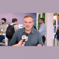 Embrapa lança BRS Fênix, cultivar de morango genuinamente brasileira que visa estimular produção de mudas nacionais, baratear custo para produtor e at