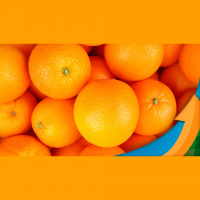 Citrus BR: Reforma Tributária do Comércio Exterior recoloca Brasil no caminho do desenvolvimento do comércio internacional e prepara o país para entra