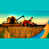 Colheita da soja se aproxima do fim em Darcinópolis/TO com produtividade acima do esperado