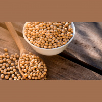 Financeiro interfere nos preços em Chicago e soja encerra o dia em queda. No Brasil, cotações da soja se distanciam das máximas do ano