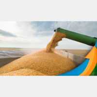 O aumento na produtividade da soja brasileira está ligado à evolução das biotecnologias soja de 100 sacas/ha está chegando