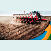 Colheita da soja se aproxima em Canarana/MT com projeção de mais de 60 sc/ha