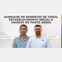 Manejo de doenças no trigo começa com um bom tratamento de sementes, promovendo proteção inicial à lavoura