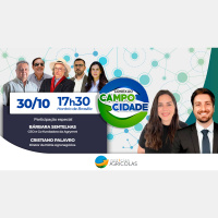 Impactos do clima até agora na safra 23/24 e as expectativas de chuva, preços e para a safrinha do próximo ano