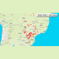 Melhor distribuição das chuvas contribuiu para aumento dos casos de Ferrugem Asiática na soja