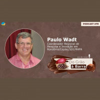 Com metas promissoras, Rondônia trabalha forte para voltar a ser grande polo de produção de cacau do Brasil