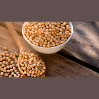 Retração no ritmo de vendas americanas e boas chuvas acumuladas no Brasil nas últimas 72 horas motivaram queda da soja em Chicago